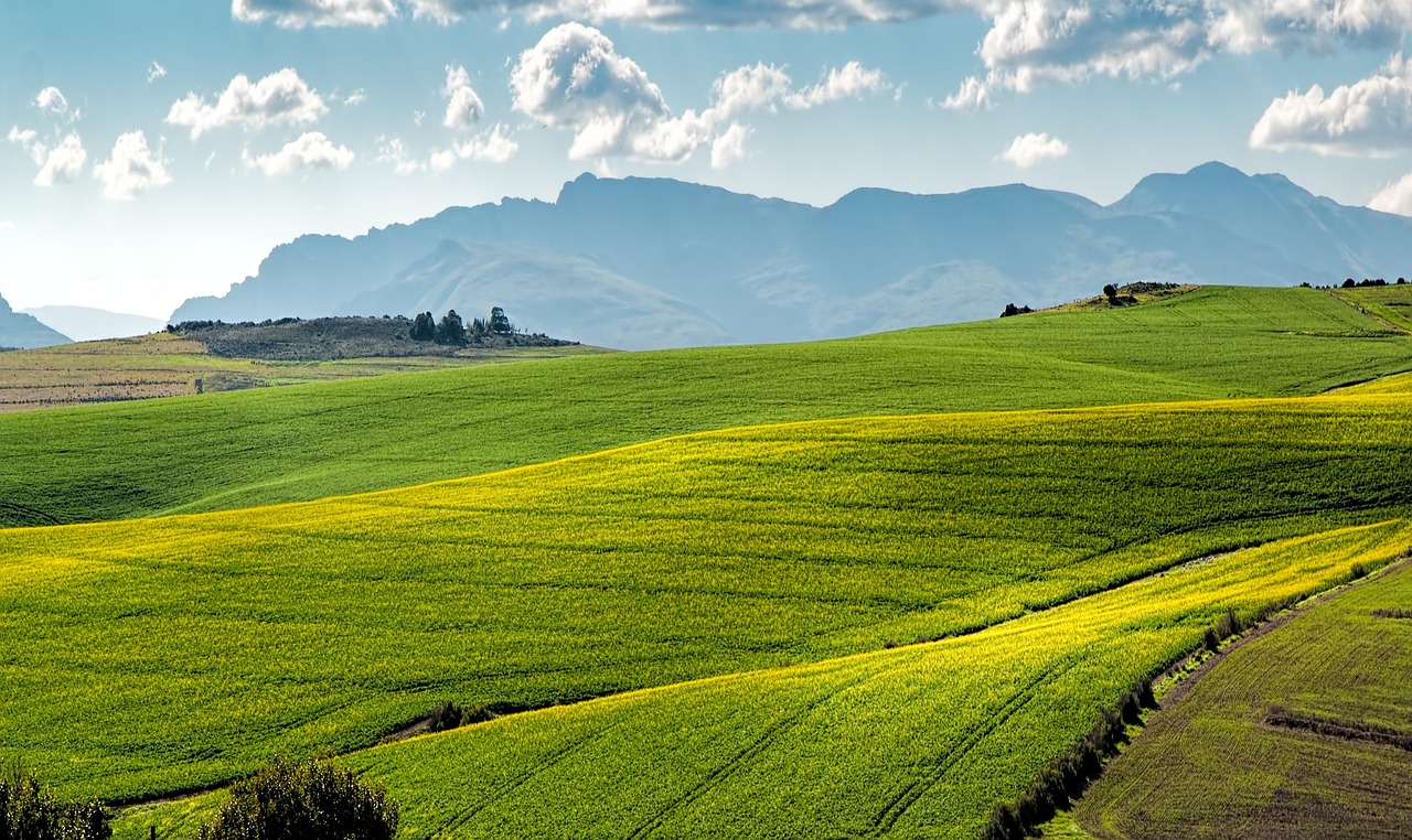Modern agriculture technology transforming smart farming practices