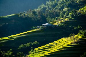 Alt Text: Modern agriculture field with farmers using smart irrigation and sustainable farming technology