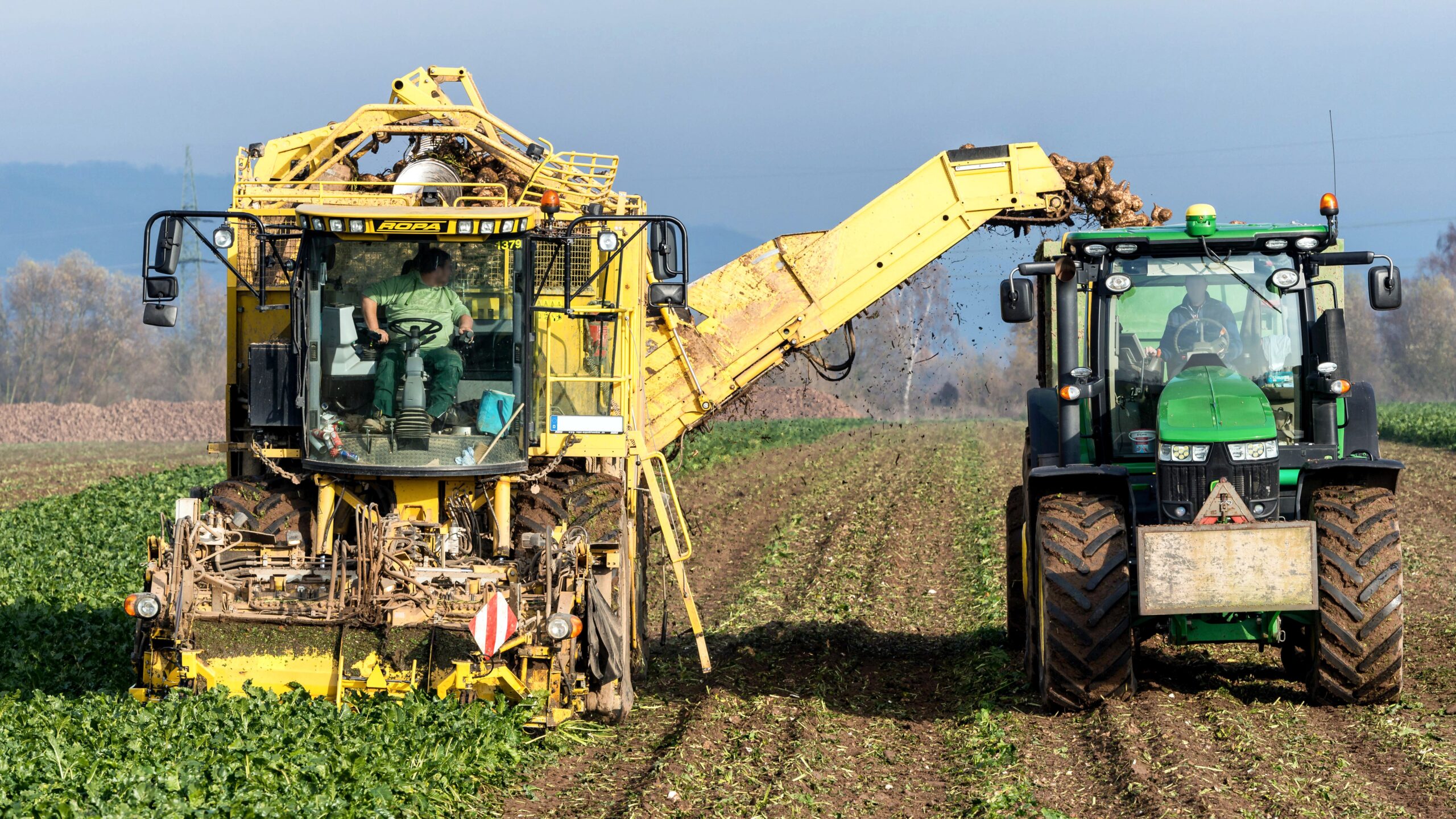 Indian farmers using modern agriculture techniques in green farmland with drip irrigation, tractor and sustainable farming methods