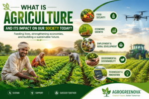 Farmers working in green agricultural fields showing agriculture’s impact on society and food production