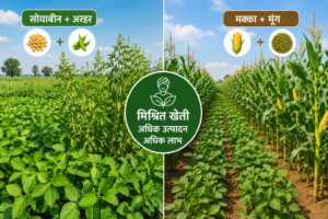 Soybean and Pigeon Pea Mixed Farming in Kharif Season 2026
