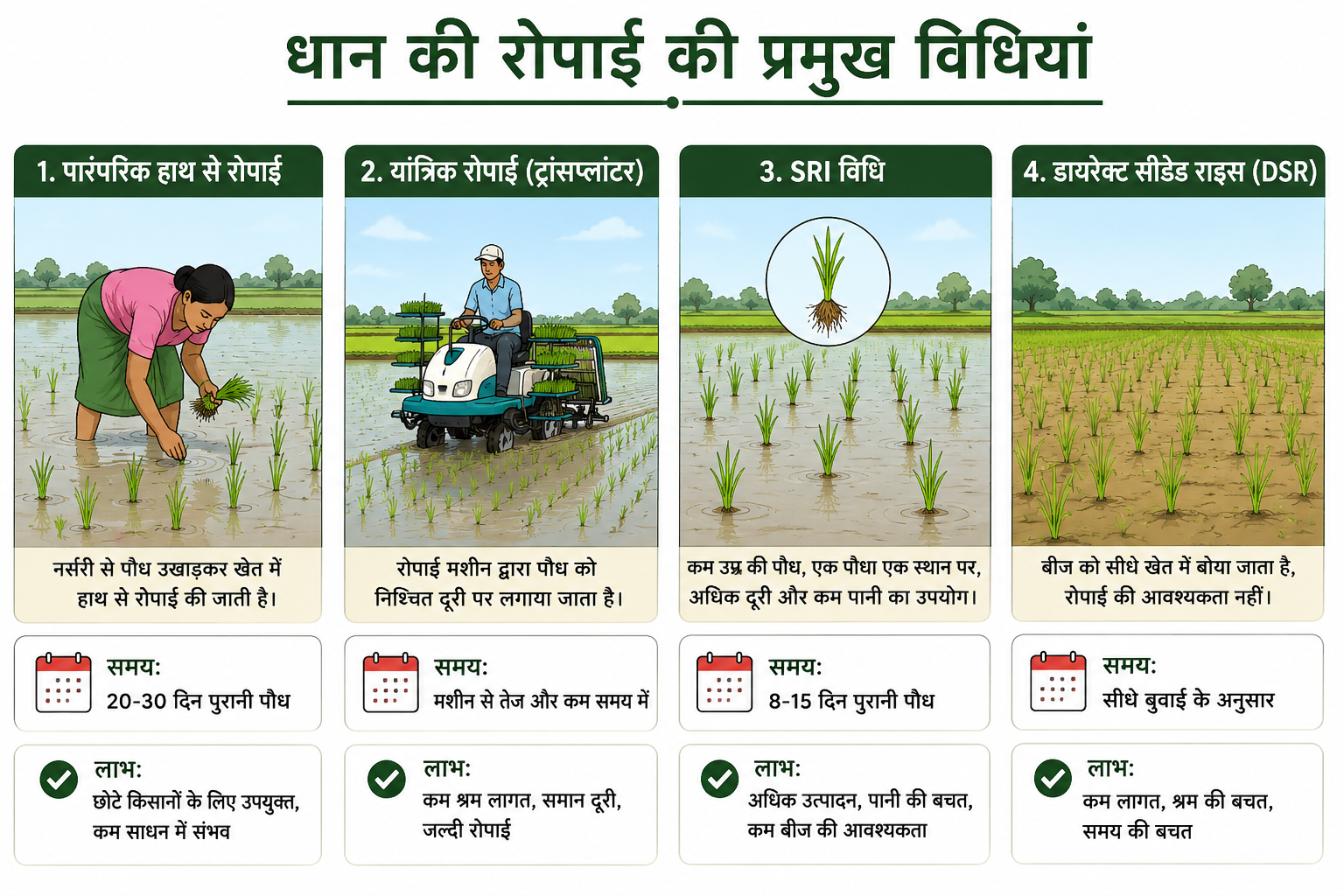 धान की रोपाई की प्रमुख विधियां दर्शाता इन्फोग्राफिक जिसमें Manual, Mechanical, SRI और DSR तकनीक दिखाई गई हैं।