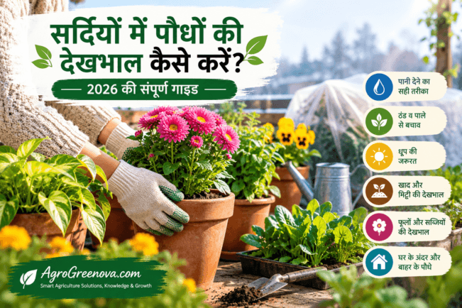 सर्दियों में गमलों और फूलों वाले पौधों की देख-रेख 2026
